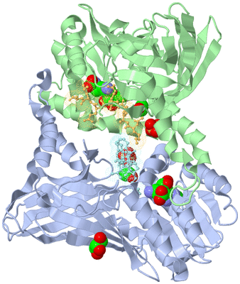 Image Biological Unit 1