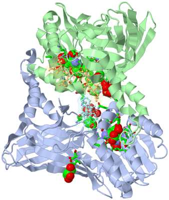 Image Biol. Unit 1 - sites