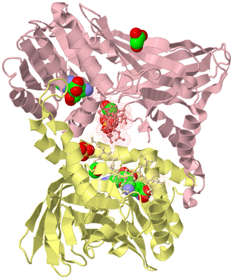 Image Biological Unit 2