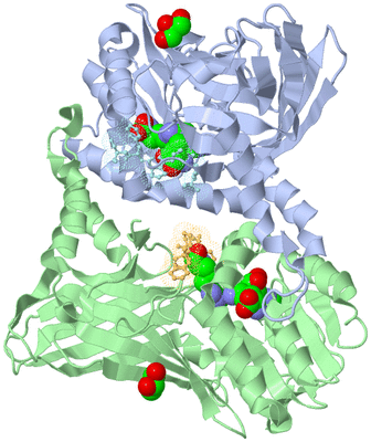 Image Biological Unit 1