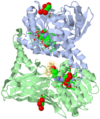 Image Biol. Unit 1 - sites