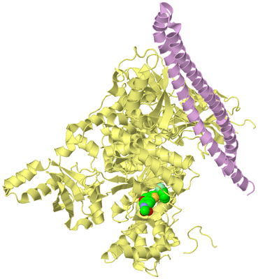 Image Biological Unit 2