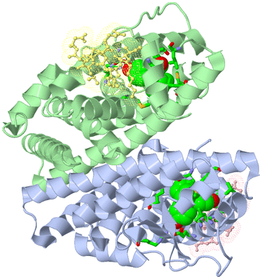 Image Asym./Biol. Unit - sites