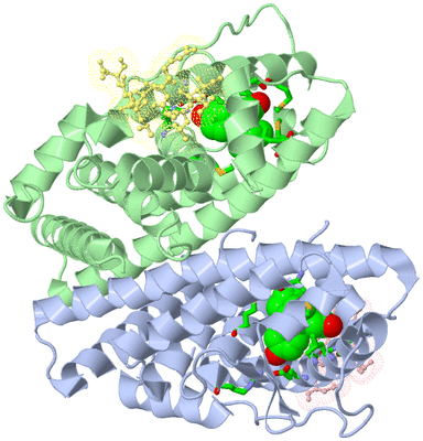 Image Asym./Biol. Unit - sites