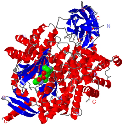 Image Asym./Biol. Unit