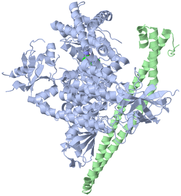 Image Asym./Biol. Unit