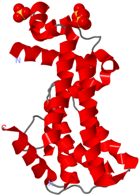 Image Asymmetric Unit