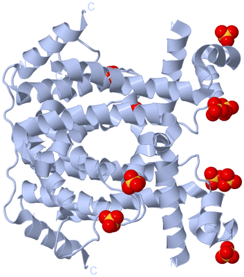 Image Biological Unit 1