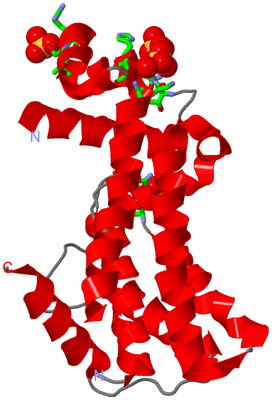 Image Asym. Unit - sites