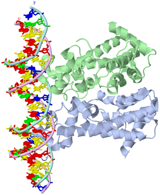 Image Biological Unit 1