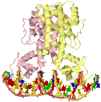 Image Biological Unit 2