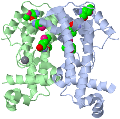 Image Asym./Biol. Unit