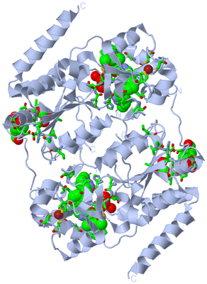 Image Biol. Unit 1 - sites