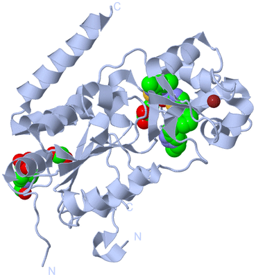 Image Biological Unit 2