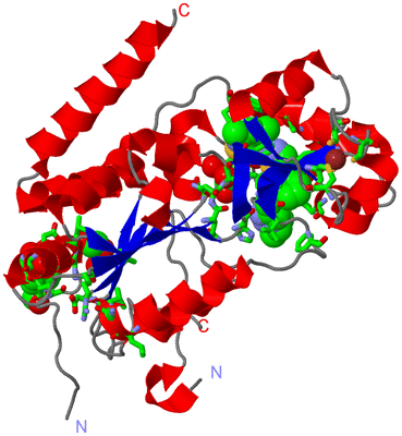 Image Asym. Unit - sites