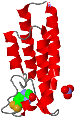 Image Asym./Biol. Unit