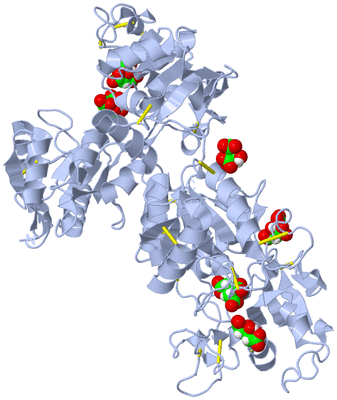 Image Biological Unit 1