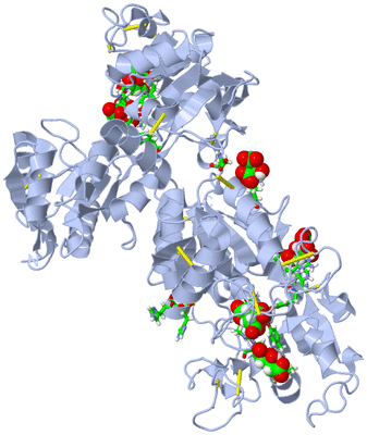 Image Biol. Unit 1 - sites