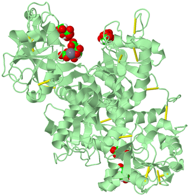 Image Biological Unit 2