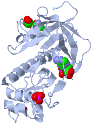 Image Biological Unit 1