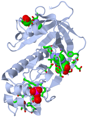 Image Biol. Unit 1 - sites