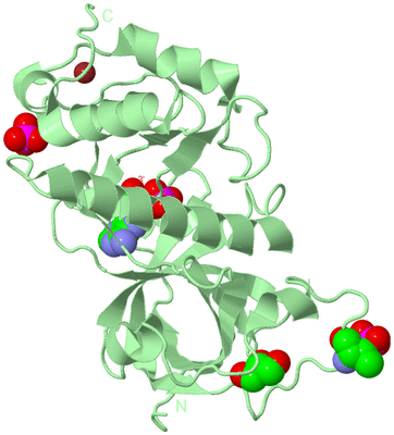 Image Biological Unit 2