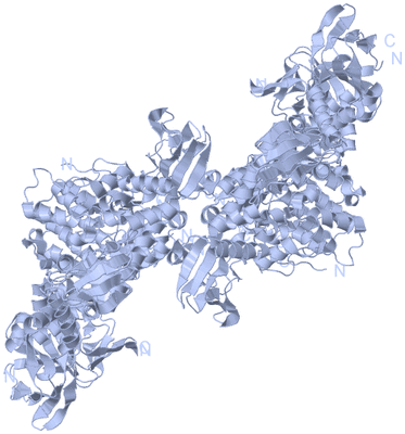 Image Biological Unit 2