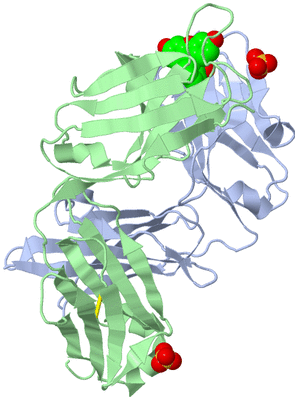 Image Biological Unit 1