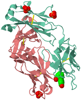 Image Biological Unit 2