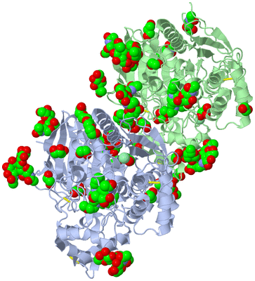 Image Asym./Biol. Unit