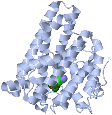 Image Biological Unit 1