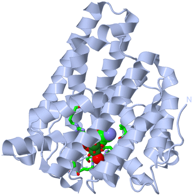 Image Biol. Unit 1 - sites