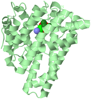 Image Biological Unit 2