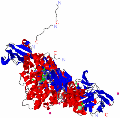 Image Asym. Unit - sites