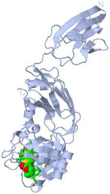 Image Biol. Unit 1 - sites