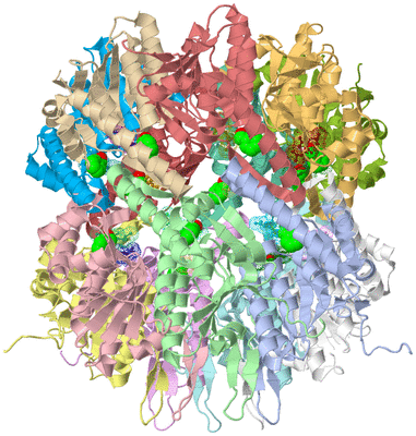 Image Biological Unit 2