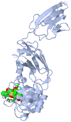 Image Biol. Unit 1 - sites