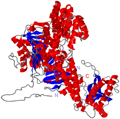 Image Asym./Biol. Unit