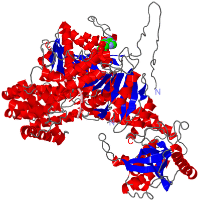 Image Asym./Biol. Unit