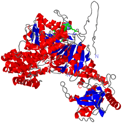 Image Asym./Biol. Unit - sites