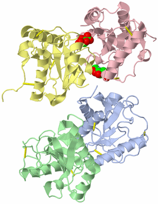 Image Asym./Biol. Unit