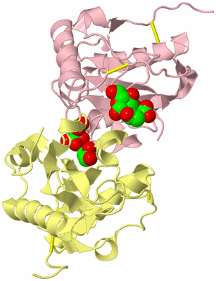 Image Biological Unit 2