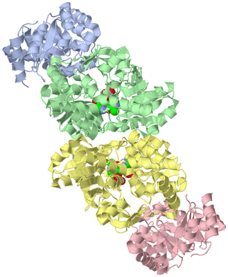 Image Biological Unit 1