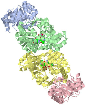 Image Biol. Unit 1 - sites