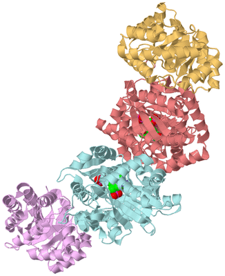 Image Biological Unit 2