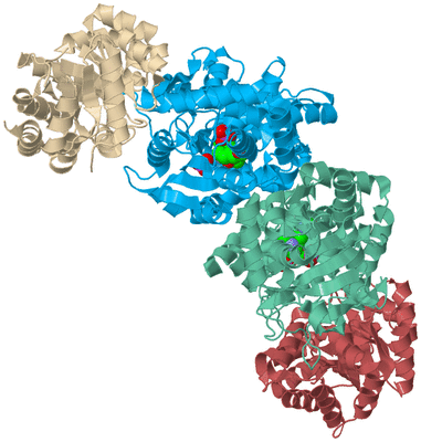 Image Biological Unit 3