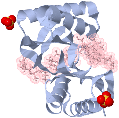 Image Biological Unit 1