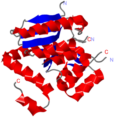 Image Asymmetric Unit
