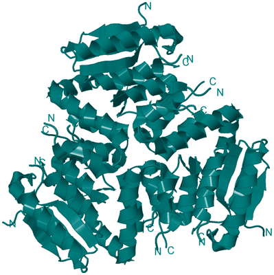 Image Biological Unit 1