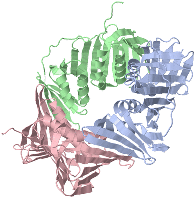 Image Biological Unit 1